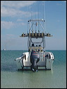 back_view_of_marine__3bbcbe